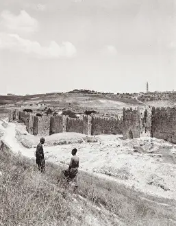 Olives: Wall of Jerusalem, Mount of Olives, Palestine, Israel, Holy