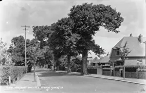 Worthing: Wallace Avenue, Worthing