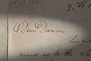 Dear: Wallace's letter to Darwin