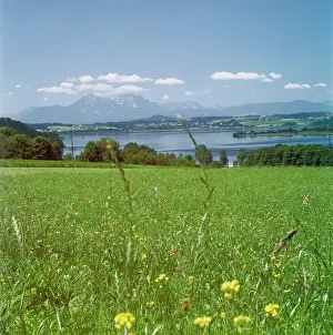 Wallersee: Wallersee
