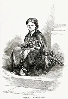 Wallflower: WALLFLOWER GIRL 1850
