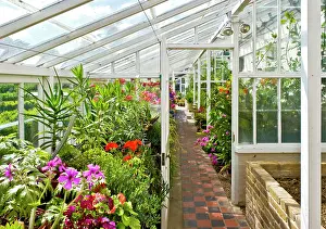 Walmer: Walmer Castle greenhouse