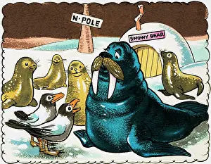 Igloo: Walrus and gulls at the North Pole