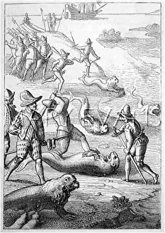 Clubbing: Walrus Hunting in the Arctic