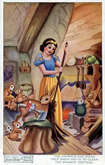 The Roseries Collection: Walt Disney's Snow White and the Seven Dwarfs