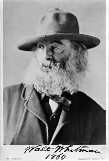 Prose: Walt Whitman, American Poet