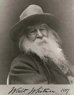 Prose: Walt Whitman, American Poet