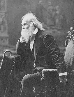 Prose: Walt Whitman, American Poet