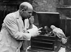 Holbrook: Walter Holbrook learns parrots talk