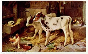 Hens: Walter Hunt, The Dog in the Manger
