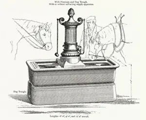 Macfarlane: Walter MacFarlane, Water Trough 1906