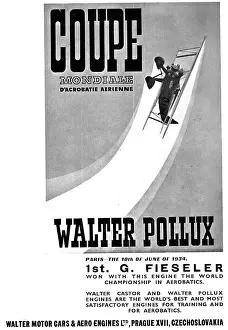 Pollux: Walter Pollux Aero Engine