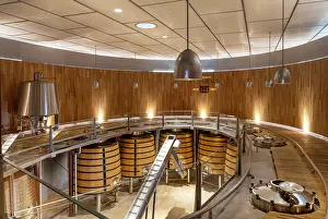 Vineyard: Waltraud cellar, Bodegas Torres, Pacs del Penedes, Catalonia