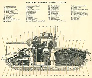 Waltzing: Waltzing Matilda Cross Section