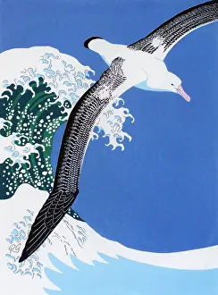 Nov16: Wandering Albatross by Robert Gillmor