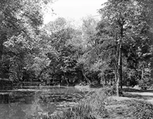 Wanstead: WANSTEAD PARK WOODS