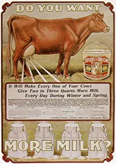 Sideview: Do You Want More Milk?