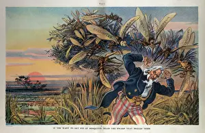 Monopoly: If you want to get rid of mosquitos, drain the swamp that br