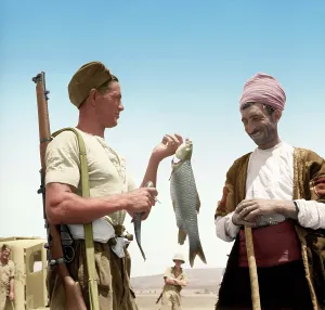 Colourised: War Cry in Colour