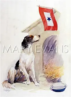Mingled: WAR DOG'S MOTHER