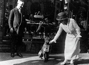 Collects: War donation for the red Cross, 1914