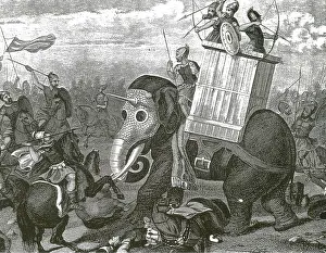 Howdah: War Elephant