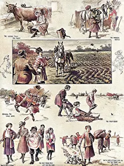 Cleaver: The War Farmers by Ralph Cleaver
