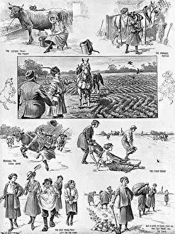 Cleaver: The War Farmers by Ralph Cleaver