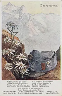 Loser: War propaganda postcard