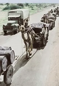Shipment: War supplies are transported by camels on