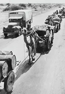 Highway: War supplies are transported by camels on