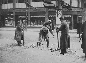 Turnip: War winter in Berlin, 1917