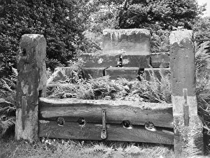 Warburton: WARBURTON STOCKS