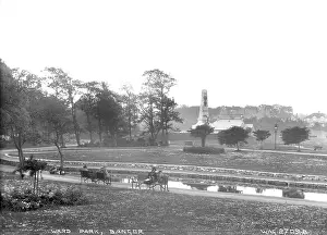 Bangor: Ward Park, Bangor
