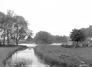 Bangor: In Ward Park, Bangor