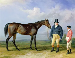 Rockingham: Ward - Rockingham with its owner