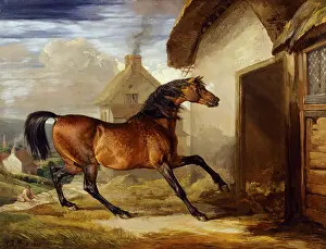 Brodsworth: Ward - Walton