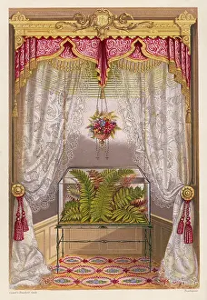 Terrarium: Wardian case containing ferns, in a window
