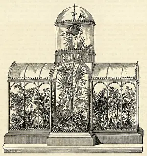 Wardian: Wardian case with plants
