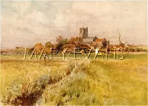 Wareham: WAREHAM/DORSET 1906