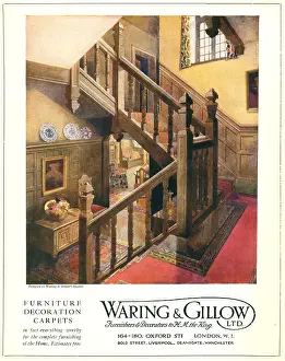 Carpeted: Waring and Gillow Advertisement