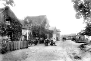 Whyte: Warlingham, Ye Olde Whyte Lion 1903