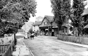 Warnham: Warnham, Village 1928