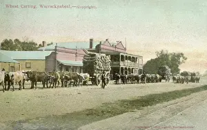 Carting: Warracknabeal, Australia