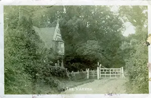 Woking: The Warren