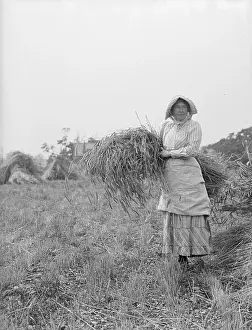 Arable: The Warren, Bexley