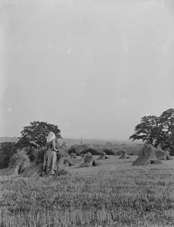 The Warren, Looking Towards Bexley