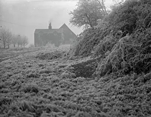 Pincott: The Warren Pincott Fields