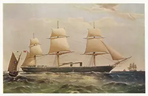Dutton: Warrior (Dutton)