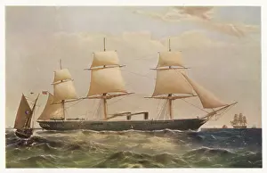 Dutton: Warrior (Dutton)
